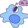 MacroPhagoCytosis
