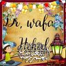 Dr wafaa Ewis