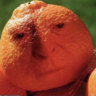 TangerineAlfred