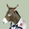 dr.donkey
