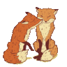 fox.paws