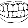 dentaljunkie